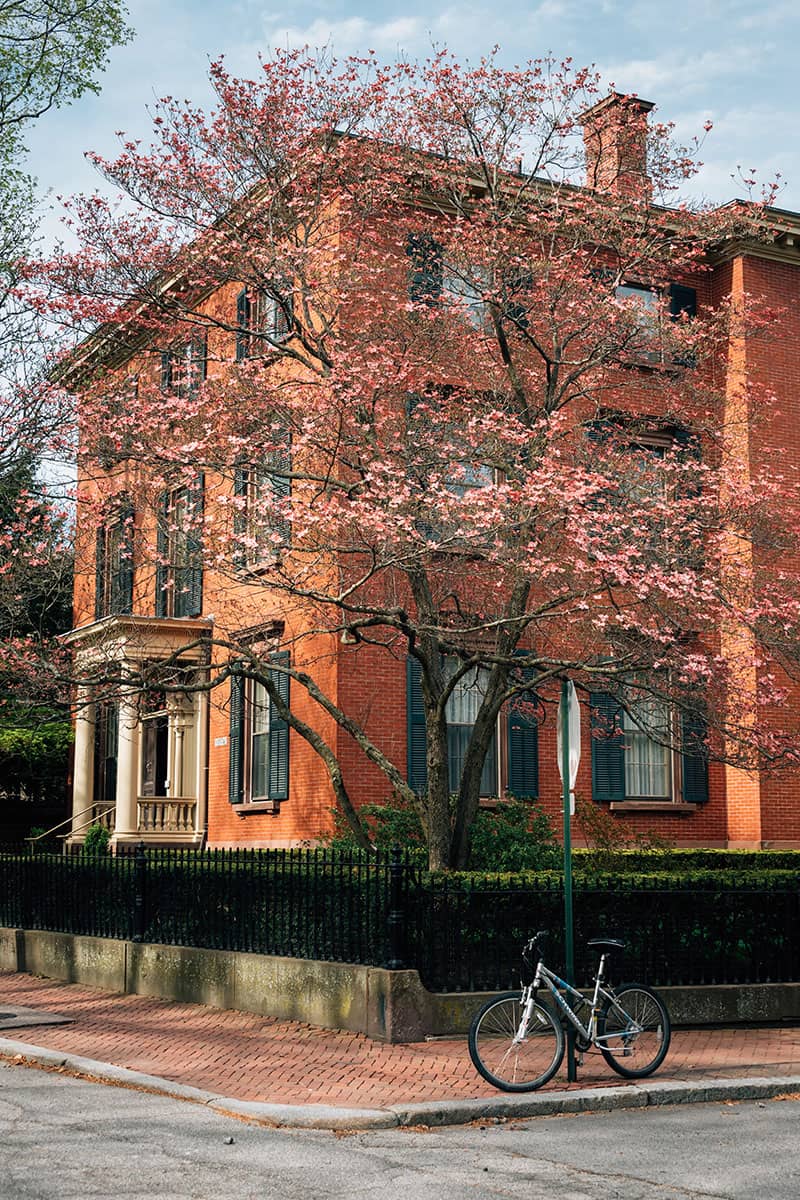Providence, RI Apartment Rental Services